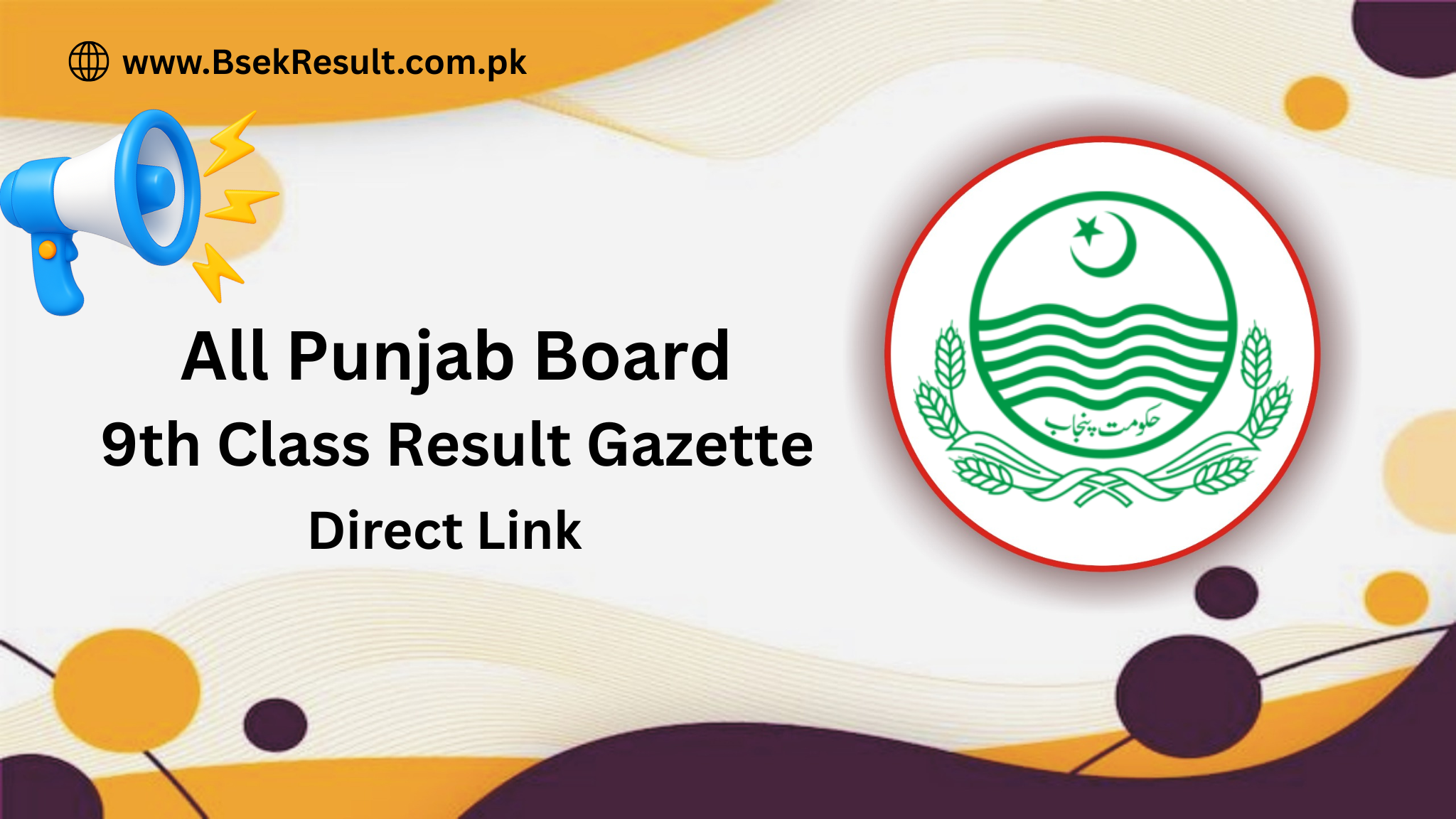 All Punjab Board 9th Class Result Gazette 2025