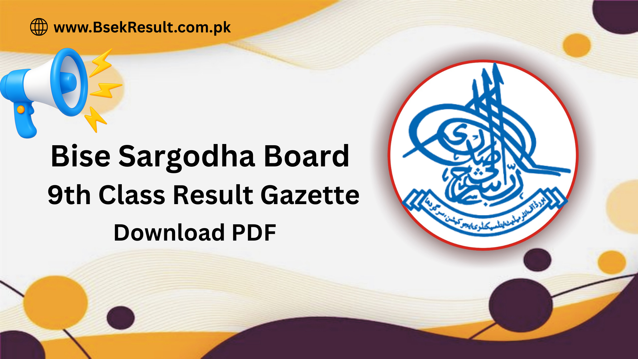Bise Sargodha Board 9th Class Result Gazette 2025 Download PDF