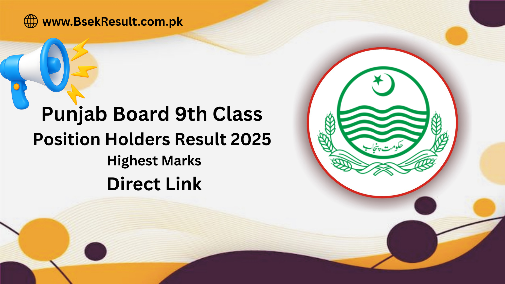 Punjab Board 9th Class Position Holders Result 2025 Highest Marks